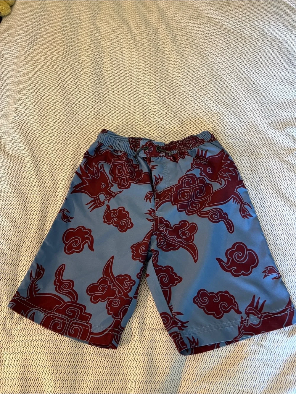 Tea Collection Blue and Maroon Dragon Swim Trunks